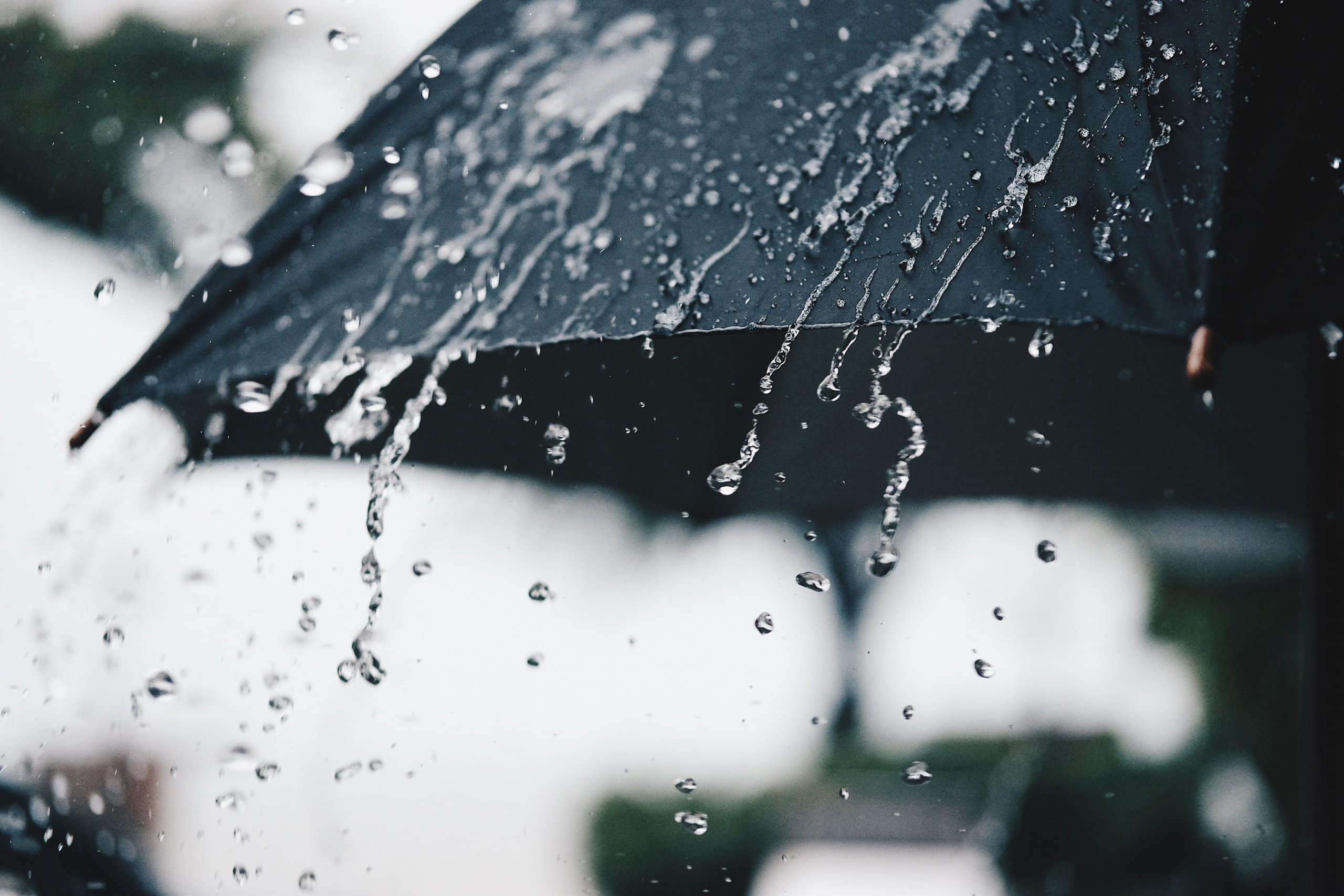 מטרייה לימים גשומים: איך נשווה בין ביטוחי החיים
